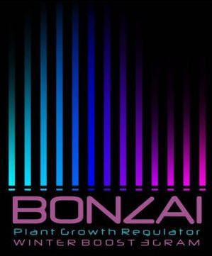 Bonzai Winterboost 3g legale Raeuchermischung